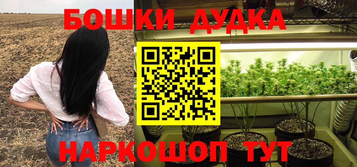 Канабис сатива Юрга
